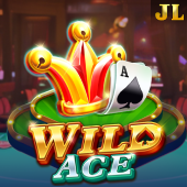 Wild Ace scater game